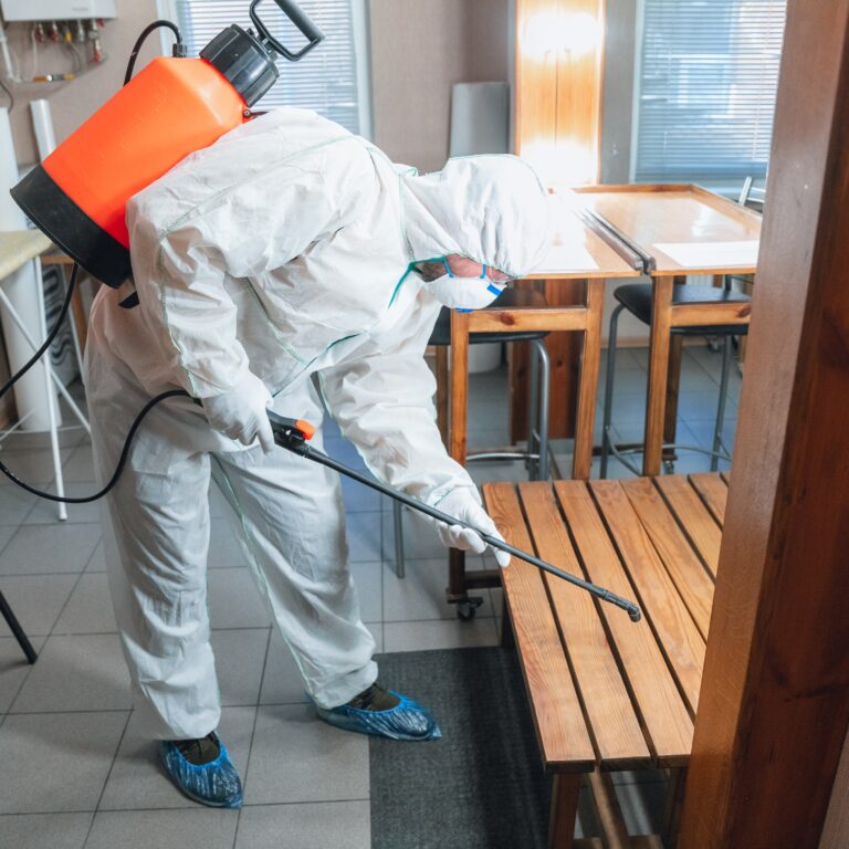 Protect Your Home During Renovations -Best Pest Control Services