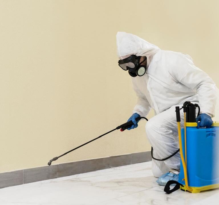 Al Rasa UAE: Reliable pest control for commercial properties